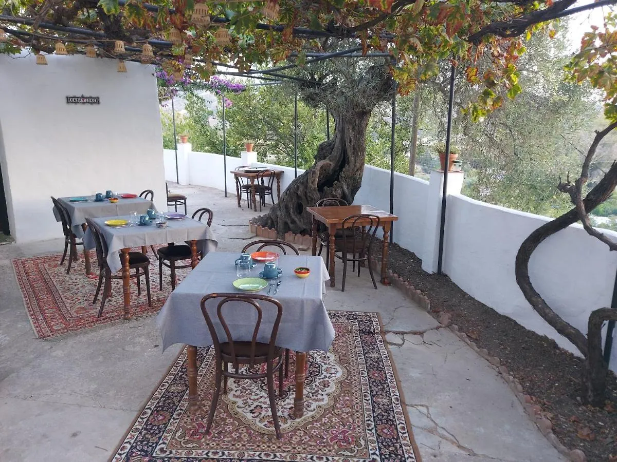 فندق مبيت وإفطار مبيت وإفطار كوين Casa Loko